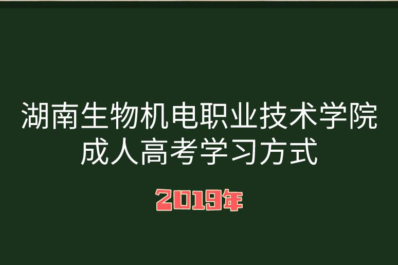 湖南成人高考學(xué)習(xí)方式